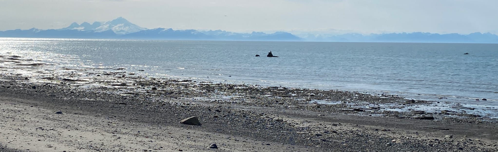 Ninilchik Beach Trail 4 Reviews, Map Alaska AllTrails