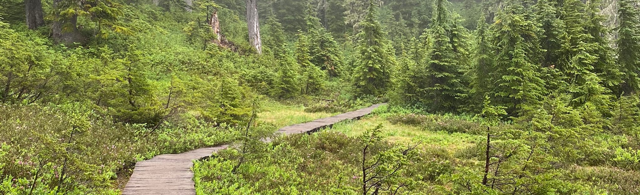 Anderson Butte Trail 35 Reviews, Map Washington AllTrails