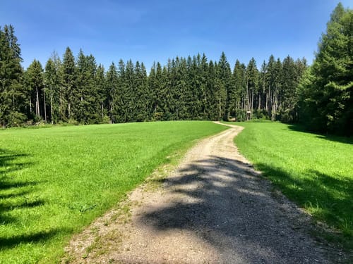 Warngau Runde