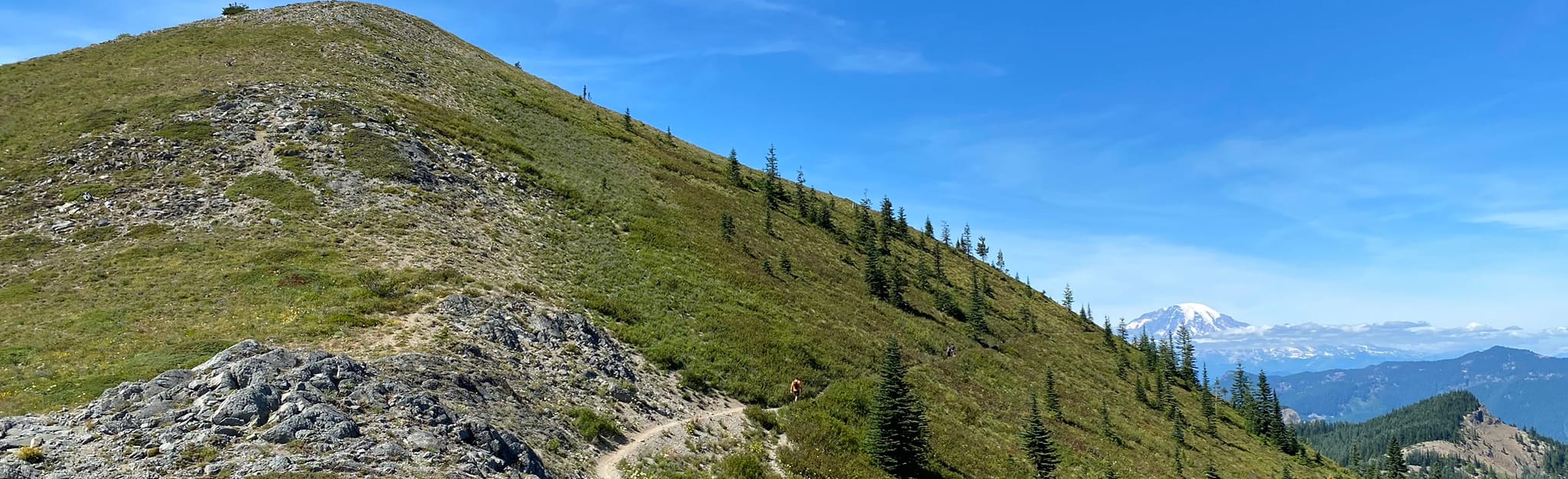 Juniper Ridge Trail 20 Reviews, Map Washington AllTrails