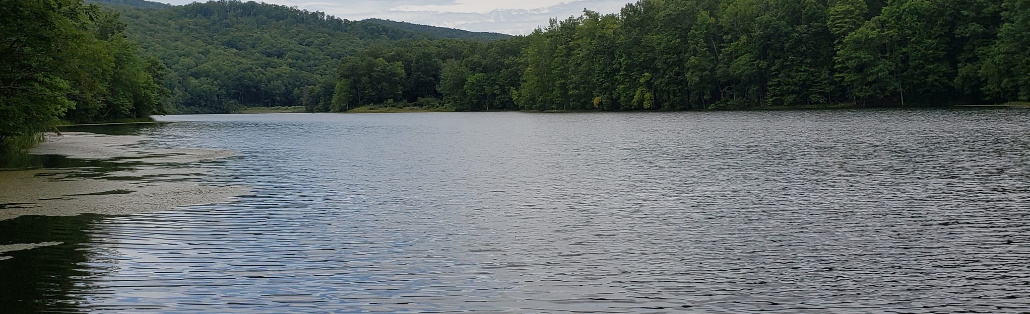 Lake Keokee Loop, Virginia 16 Reviews, Map AllTrails