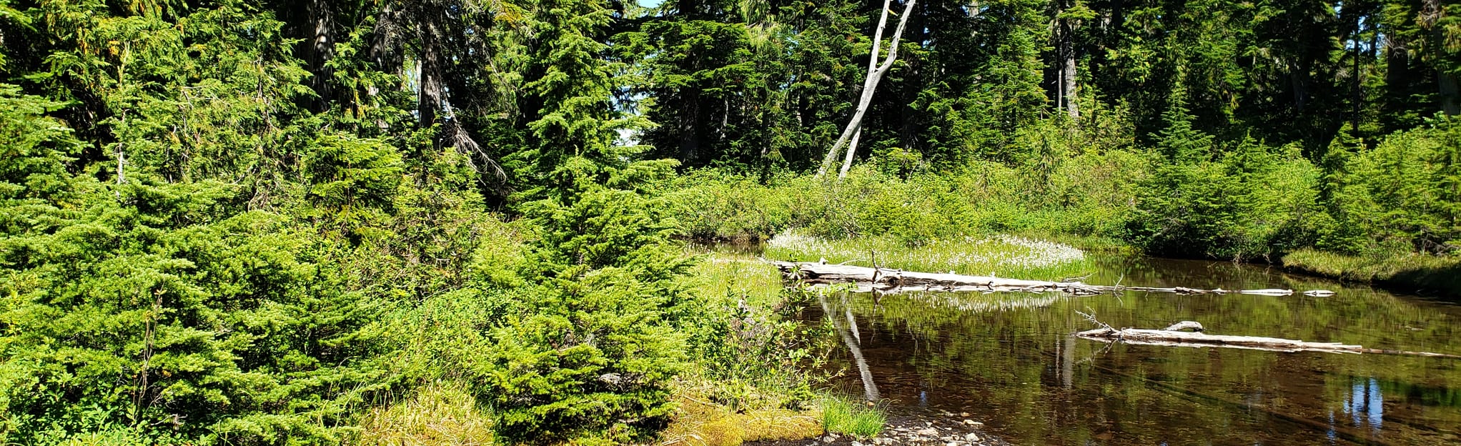 Chance Lake 23 Reviews, Map British Columbia, Canada AllTrails