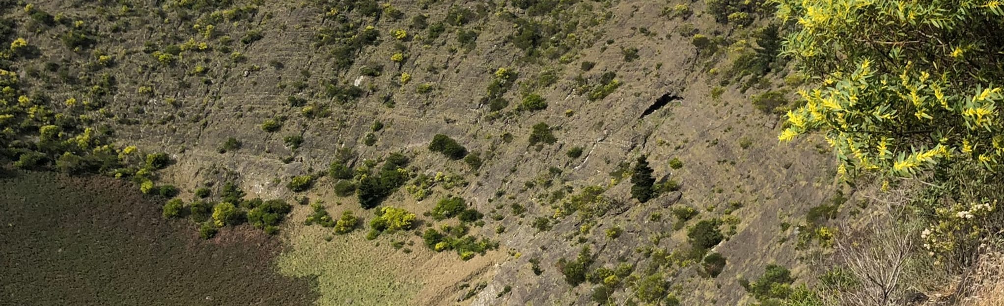 Mount Schank Walking Trail, South Australia, Australia 14 Reviews
