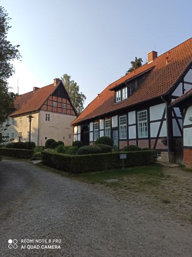 Durch den Börsteler Wald