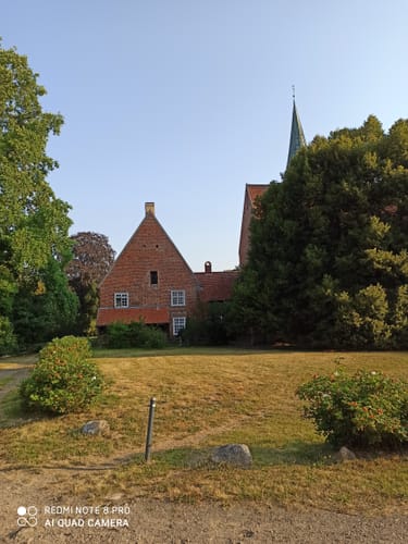 Durch den Börsteler Wald
