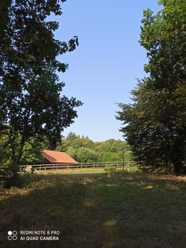 Durch den Börsteler Wald