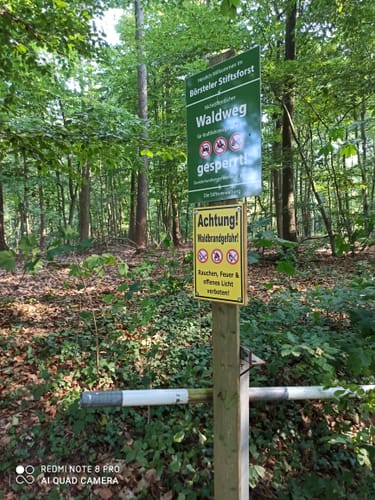 Durch den Börsteler Wald