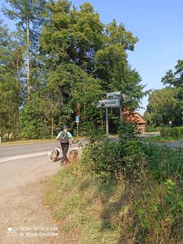 Durch den Börsteler Wald