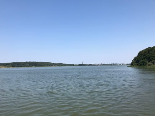Paddeltour: Haddebyer und Selker Noor mit Schlei