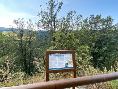 Über Silberberg und Schindelthal