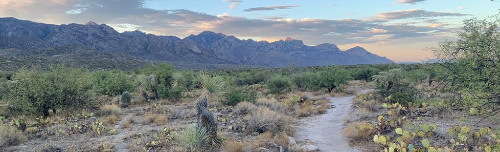 SAT 12/16 - SHUTTLE EDITION ::: Dawn Patrol @ 50-Year to Catalina State  Park (10am) #OldPuebloMTB, 50 Year Golder Ranch trailhead, Catalina  Foothills, December 16 2023