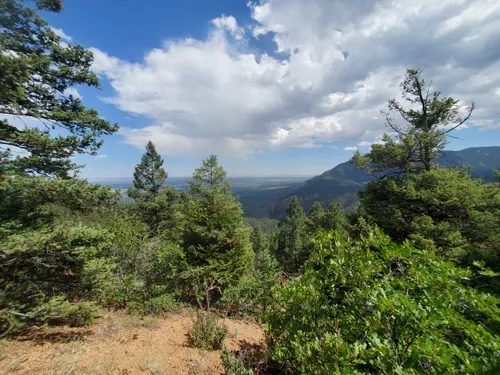 Best 10 Hikes and Trails in North Cheyenne Cañon Park | AllTrails