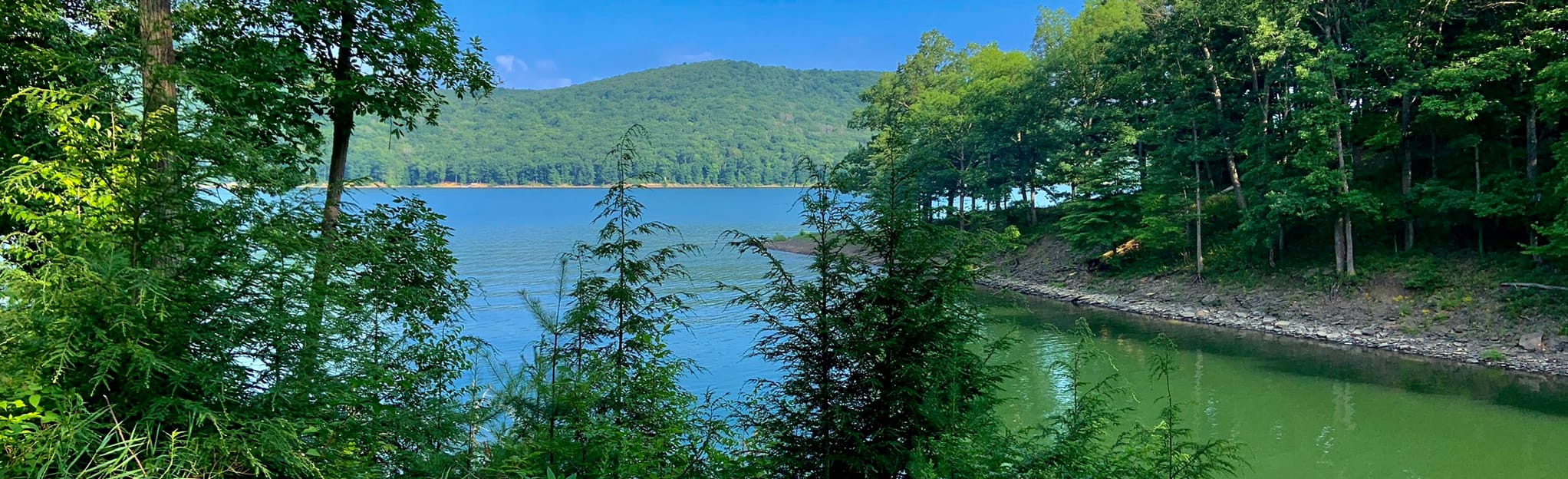 Escape To The Allegheny: Unplug And Unwind At Tracy Ridge Campground