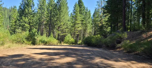 10 Best Backpacking Trails In Plumas National Forest 