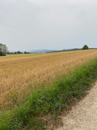 Rund um Wendlingen