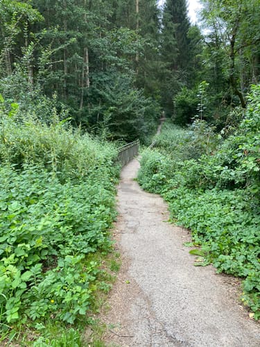 Rund um Wendlingen
