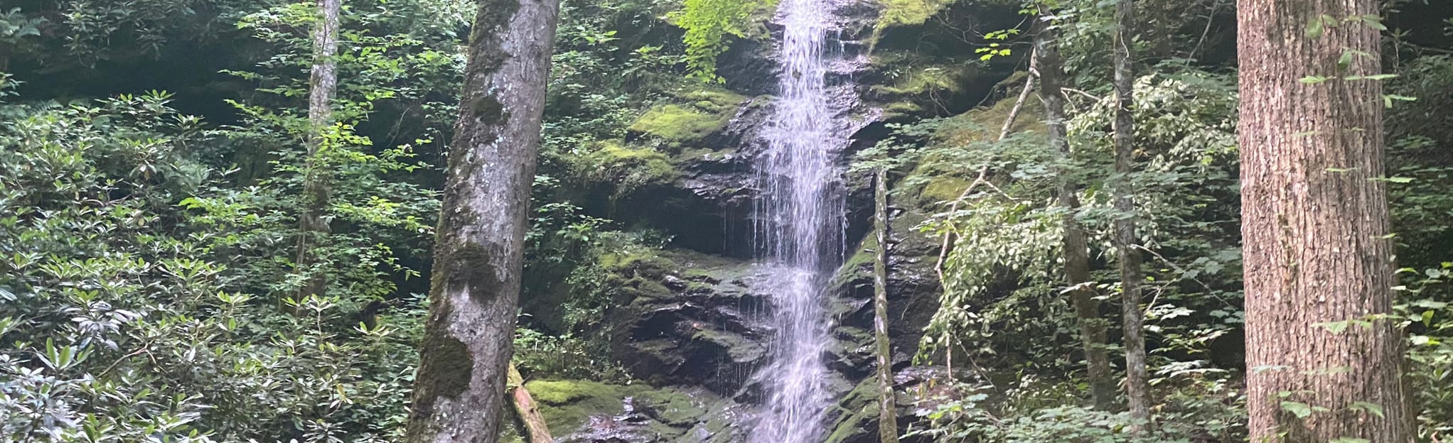 Little Fall Branch Falls Trail, Tennessee 170 Reviews, Map AllTrails