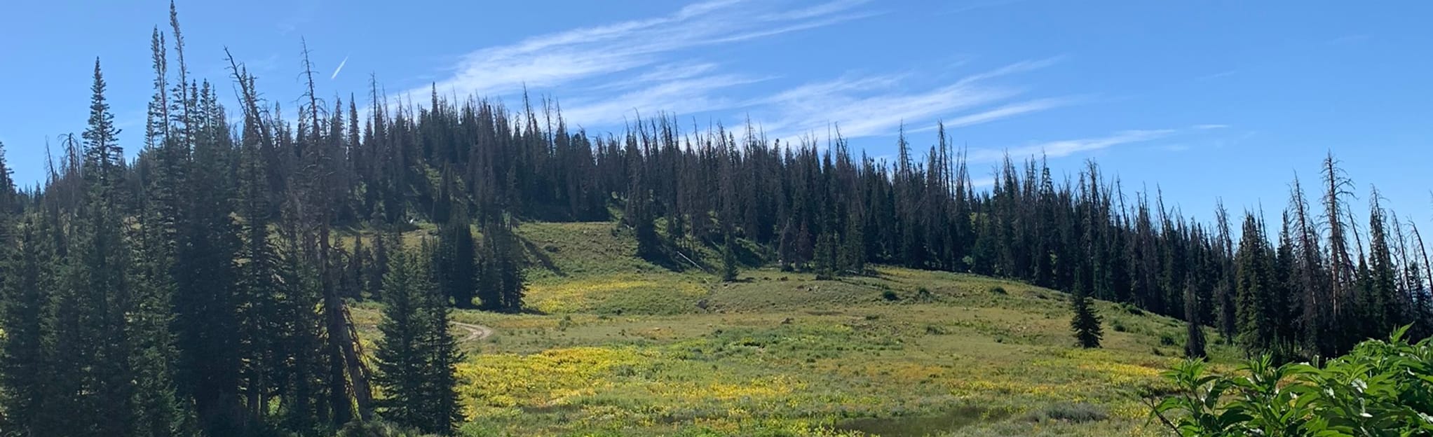 MantiLa Sal Skyline OHV Drive Route 31 to Ephraim Canyon Road 24