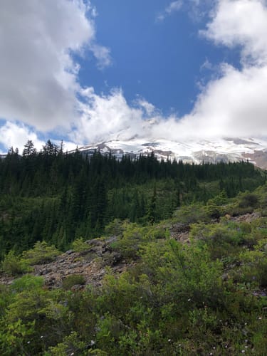 artist point mt baker alltrails