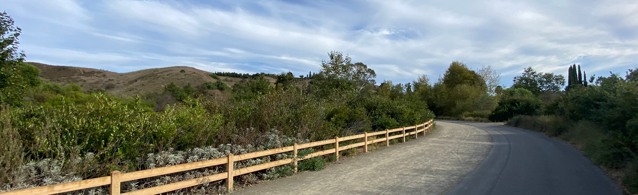 Ladera Ranch, Arroyo Trabuco, and Trabuco Ridge Loop 474 fotos