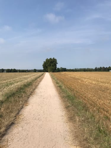 Rundtour Kellenhusen: Zum Leuchtturm Dahmeshöved und nach Dahme