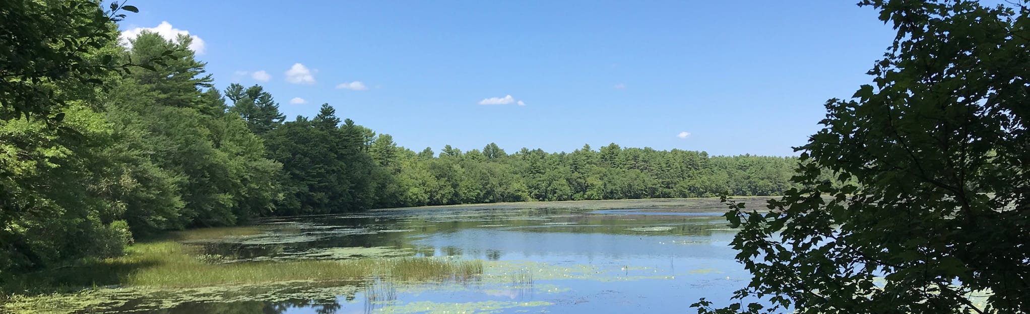 Frosty Hollow and Breakheart Ponds via Shelter Trail Loop, Rhode Island