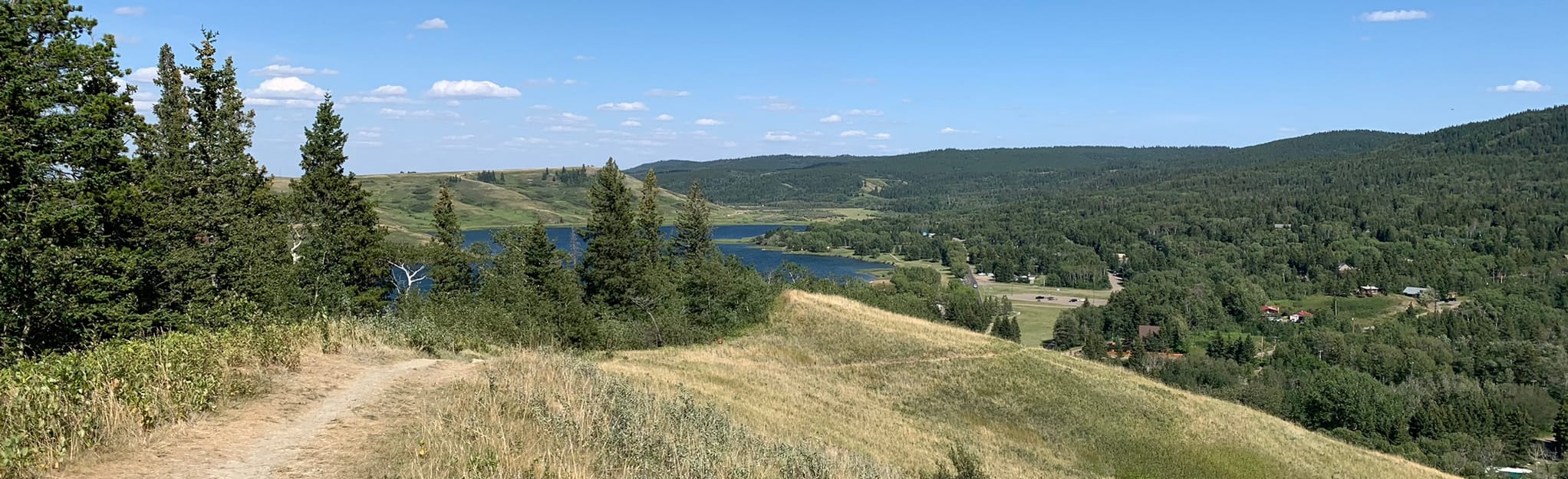 Mitchell Creek, Plateau Trail and Horseshoe Canyon Loop 47 Reviews