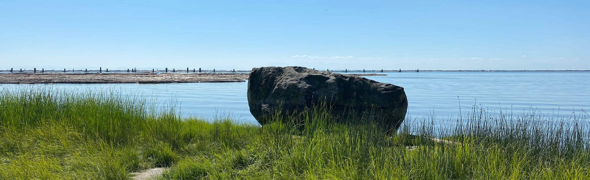 Wreck Beach and Foreshore Trail 50 Reviews, Map British Columbia, Canada AllTrails