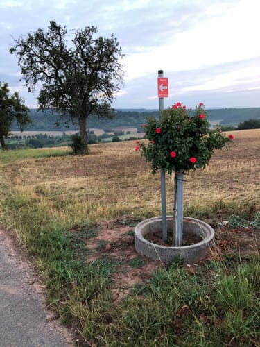 Rund um Sponheim