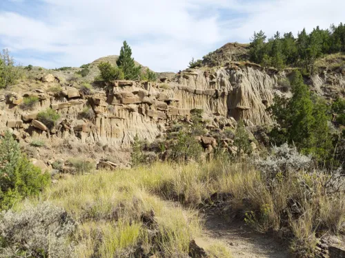 se permiten perros en los parques estatales de missouri stzte park campgrounds