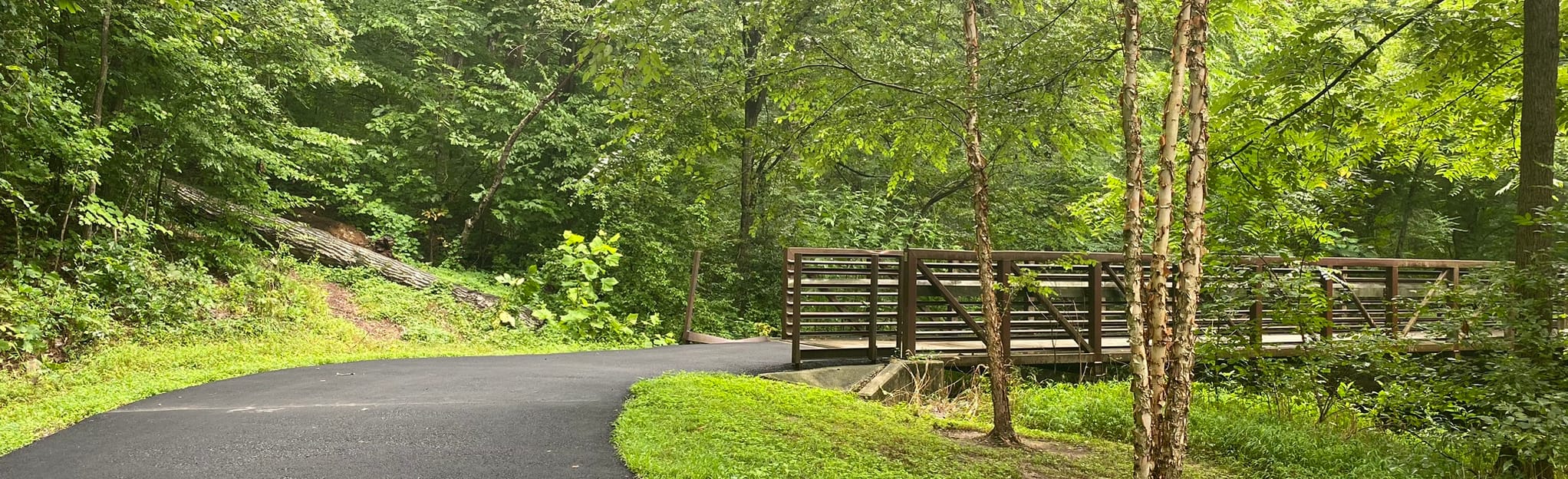 Campbell Creek Greenway, North Carolina 128 Reviews, Map AllTrails