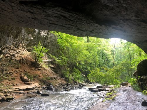 are dogs allowed at south cumberland state park