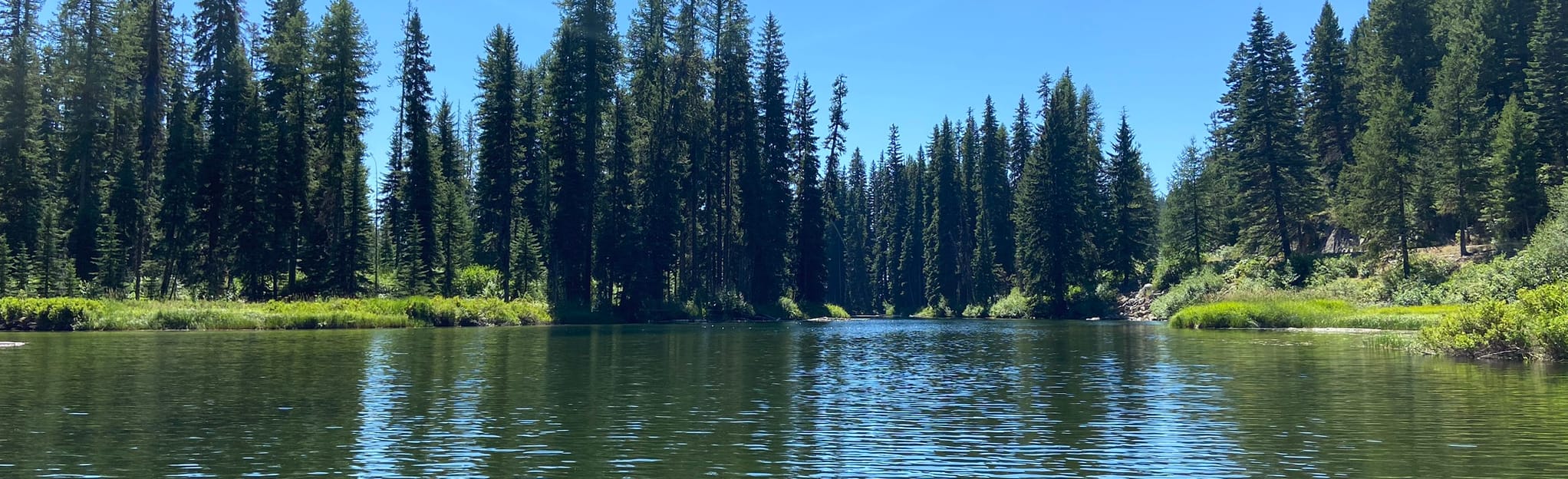 Payette Lake Inlet Paddle 23 Reviews, Map Idaho AllTrails