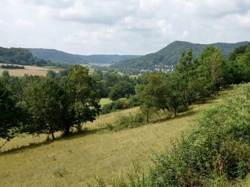 Hohenstadt Rundweg 2 - Reh-Markierung