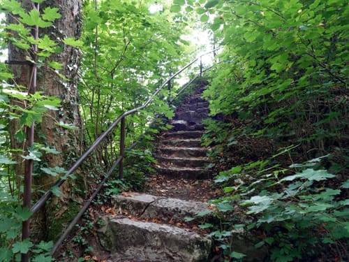 Hohenstadt Rundweg 5: Eichhörnchen-Markierung