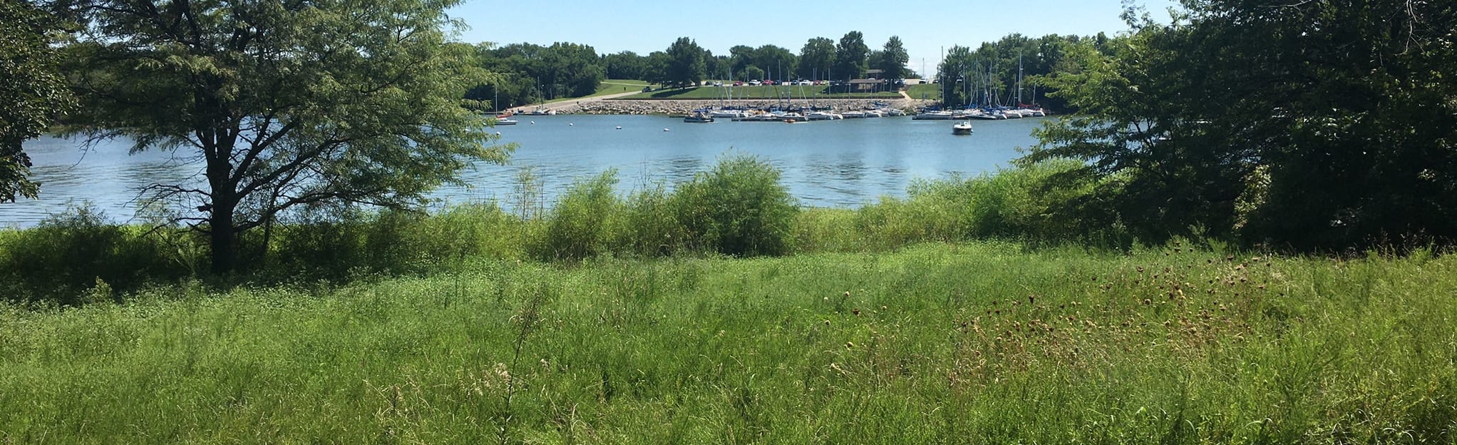 Backbone, Copperhead Ridge, and Whispering Pine Loop, Missouri 202