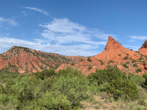 are dogs allowed at caprock canyon state park