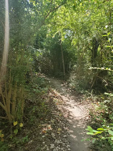 Big cedar mountain bike trail hotsell