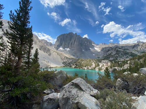 are dogs allowed in the john muir wilderness