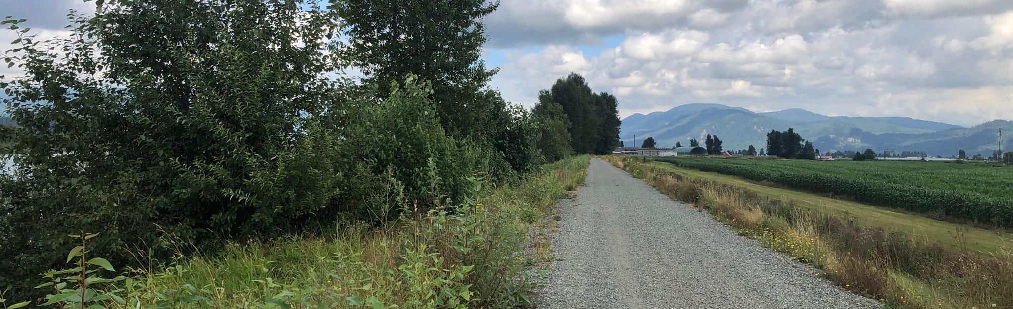 Matsqui Trail to Olund Trail, British Columbia, Canada 114 Reviews, Map AllTrails