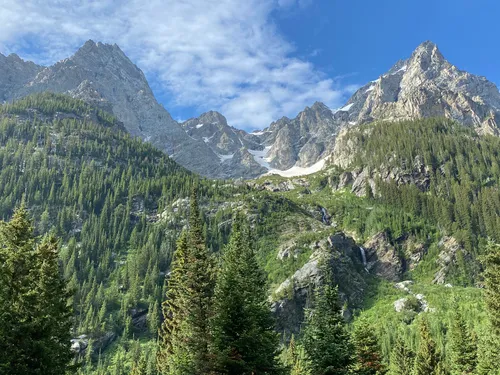 Dog friendly hikes near grand outlet tetons