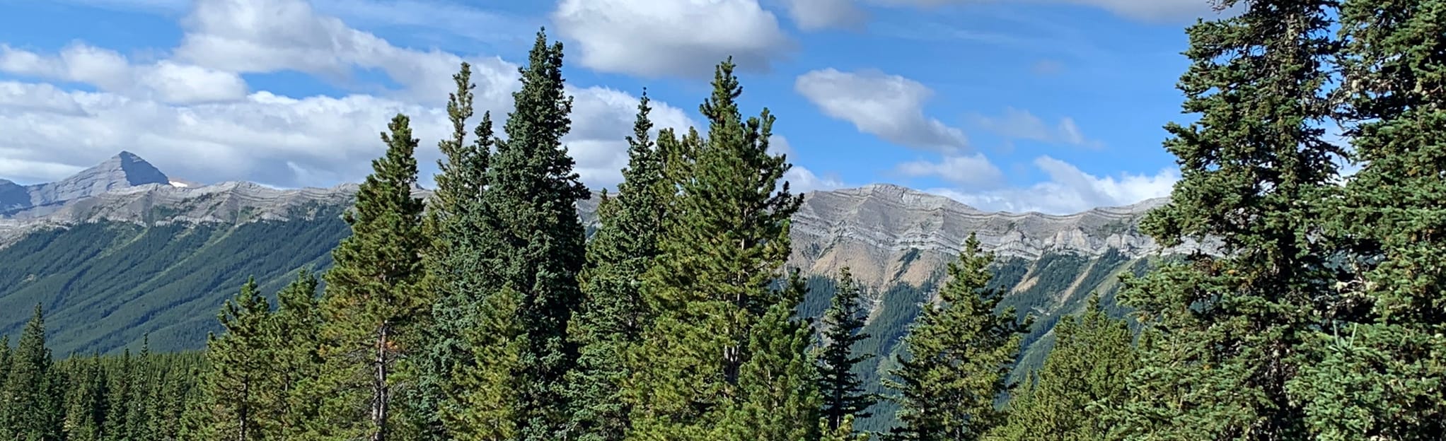 Powderface Creek and Ridge Trail, Alberta, Canada 428 Reviews, Map