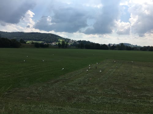 Zwei Seentour bei Runding