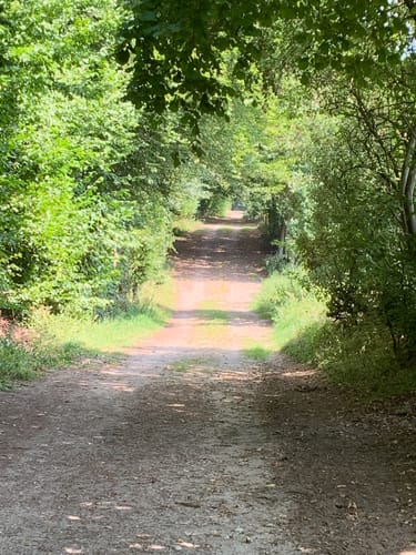 Bistensee Rundwanderweg