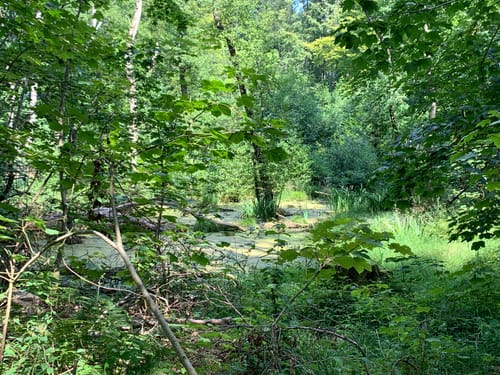 Bistensee Rundwanderweg