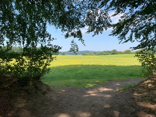 Bistensee Rundwanderweg