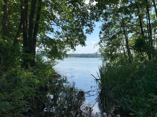 Bistensee Rundwanderweg