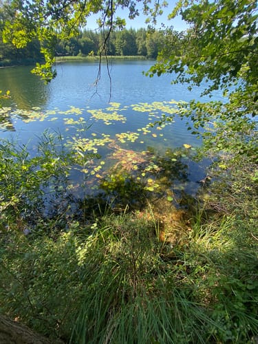 Märkische Schweiz (Route 119)