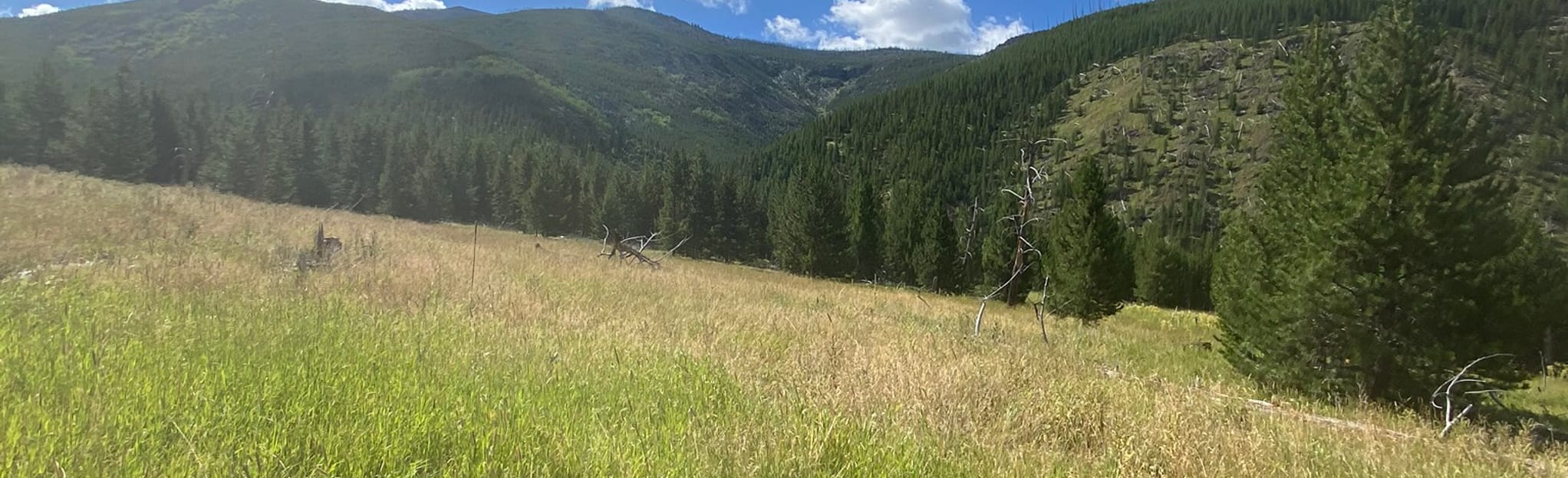 Casey Meadows Trail 141 Reviews, Map Montana AllTrails