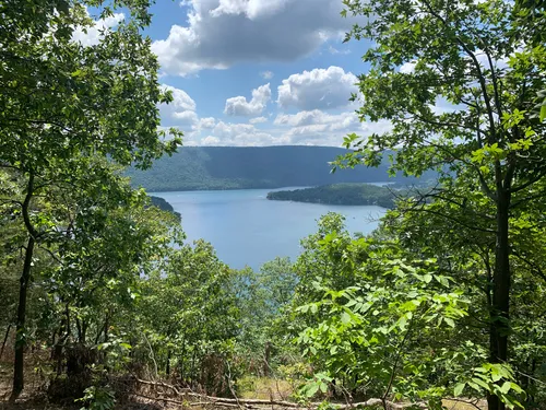 Best Forest Trails in Raystown Lake National Recreation Area